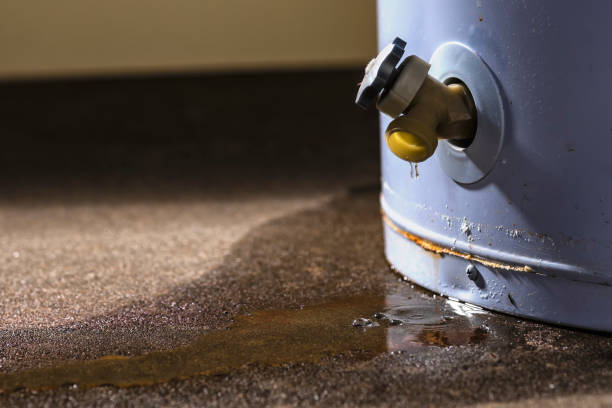 Best Ceiling water damage repair  in , WI
