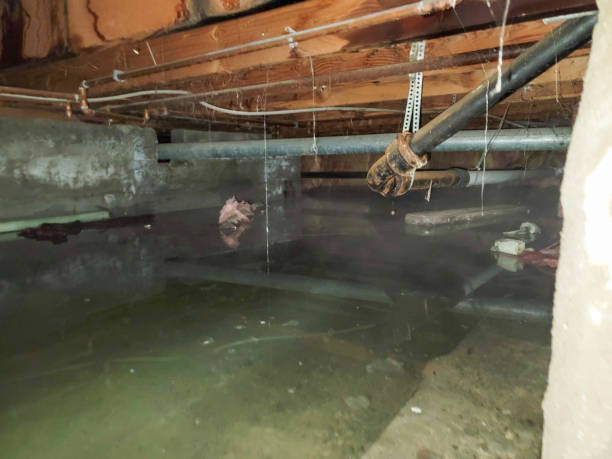 Best Water damage restoration near me  in , WI