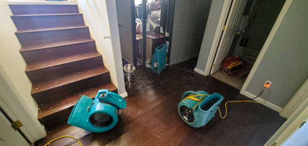 Best Water damage restoration process  in , WI