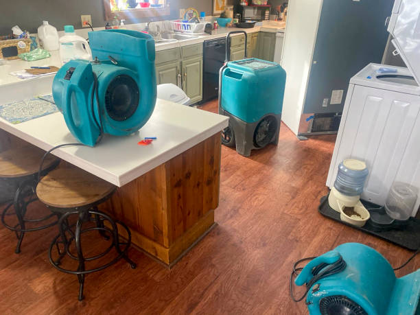 Best Mold removal after water damage  in , WI