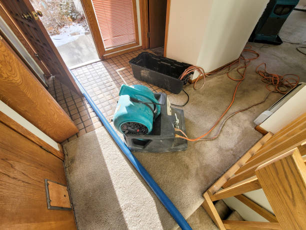 Best Carpet water damage restoration  in , WI