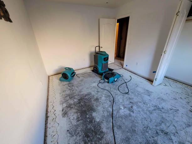 Best Flood restoration services  in , WI