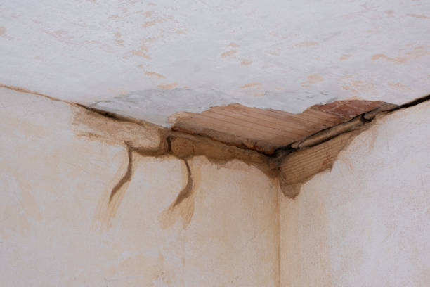 Best 24-hour water damage restoration  in , WI