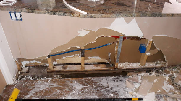 Best Flood damage cleanup  in , WI