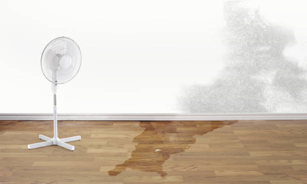 Best 24/7 water damage repair  in , WI