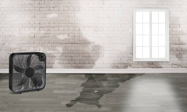 Best Sewage cleanup and water damage restoration  in , WI