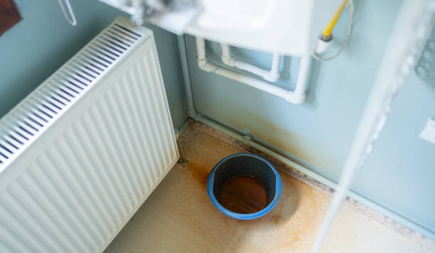 Best Professional water damage repair  in , WI