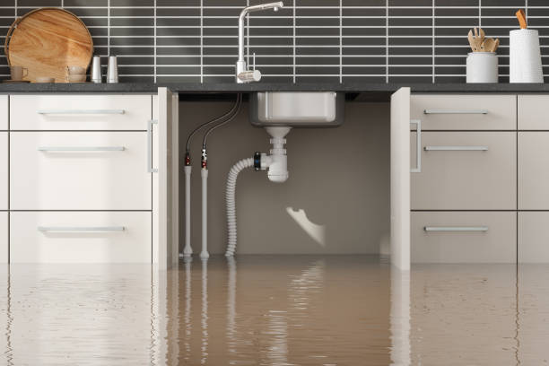 Best Water damage restoration near me  in , WI