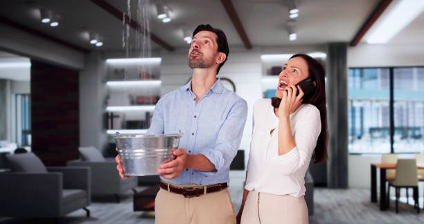 Best Commercial water damage restoration  in , WI